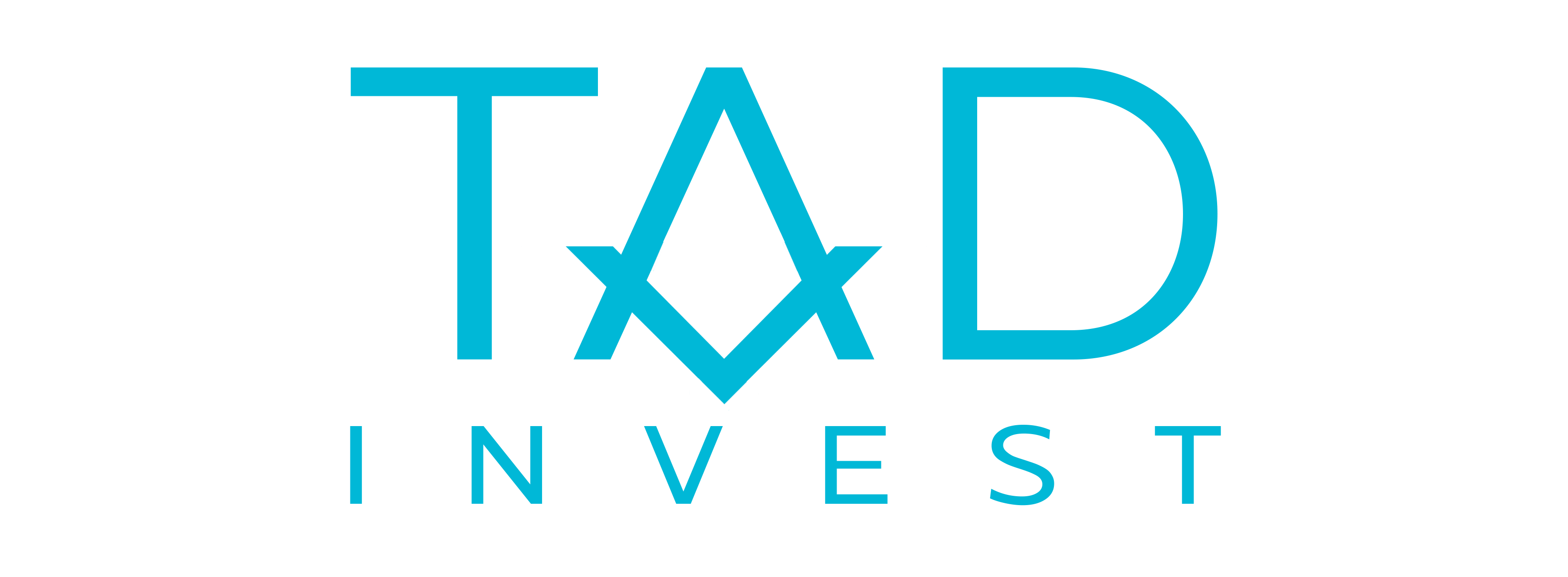 TAD INVEST